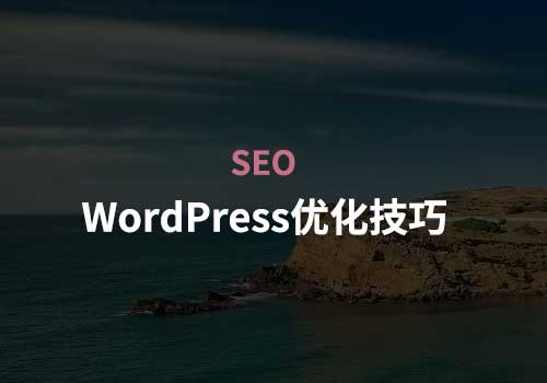 关于WordPress SEO优化那点事：分享20个技巧给大家